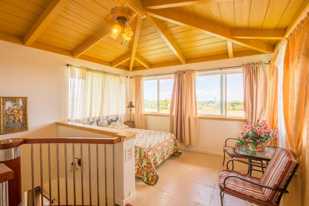 Coconut Palms Vacation Rental Near Lava Fields And Beaches Kehena Zewnętrze zdjęcie