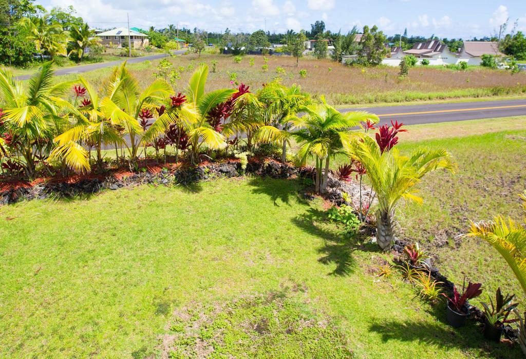 Coconut Palms Vacation Rental Near Lava Fields And Beaches Kehena Zewnętrze zdjęcie