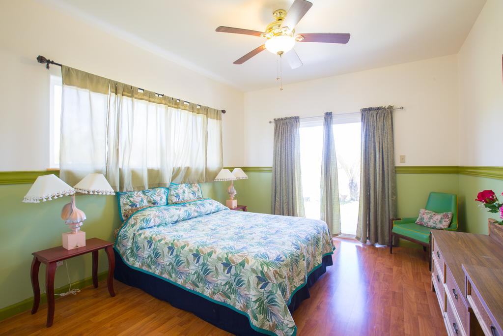 Coconut Palms Vacation Rental Near Lava Fields And Beaches Kehena Zewnętrze zdjęcie