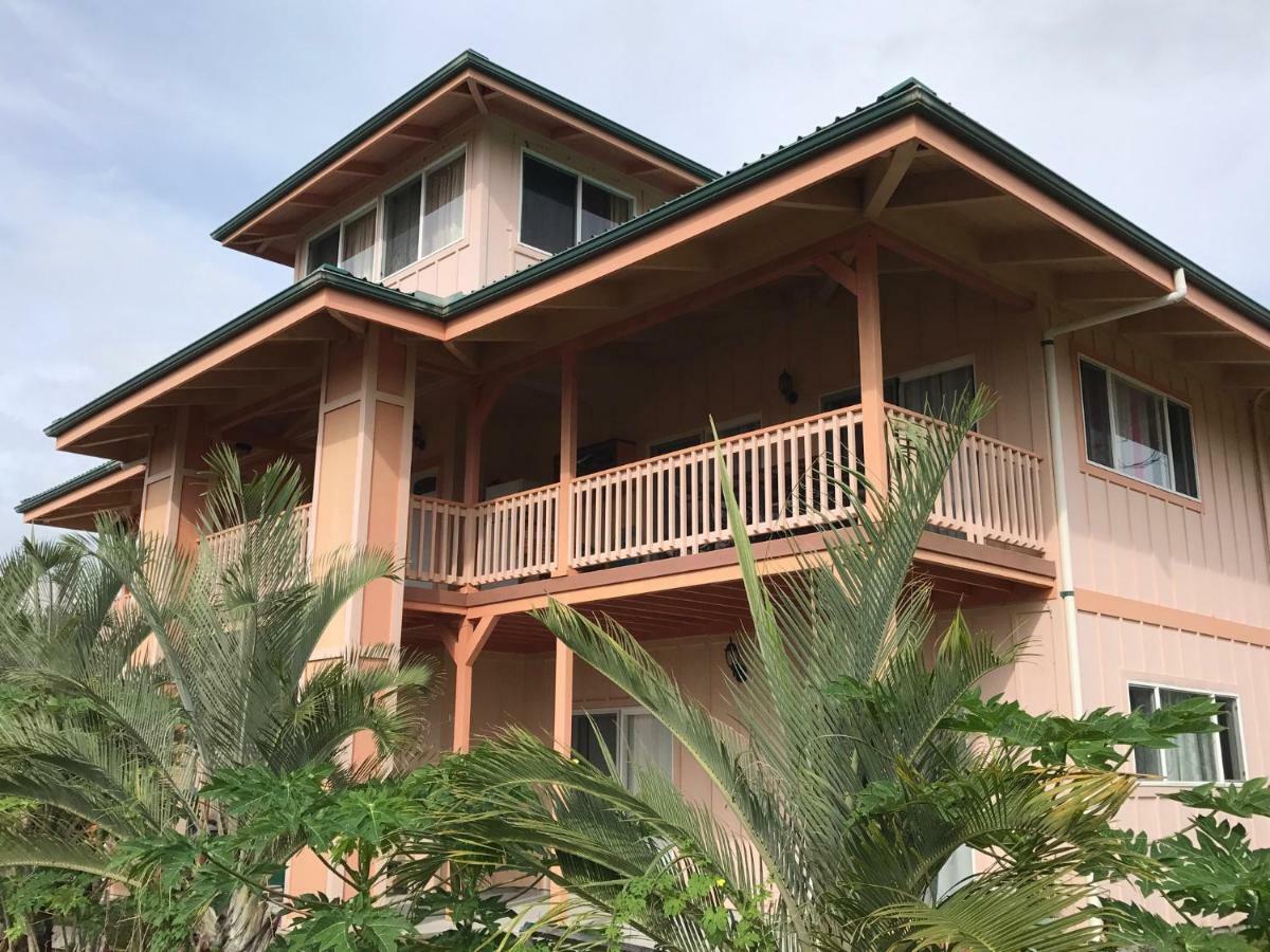 Coconut Palms Vacation Rental Near Lava Fields And Beaches Kehena Zewnętrze zdjęcie