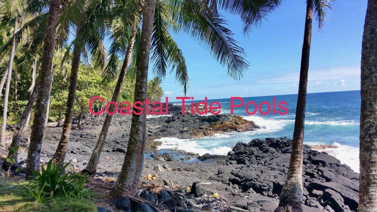 Coconut Palms Vacation Rental Near Lava Fields And Beaches Kehena Zewnętrze zdjęcie