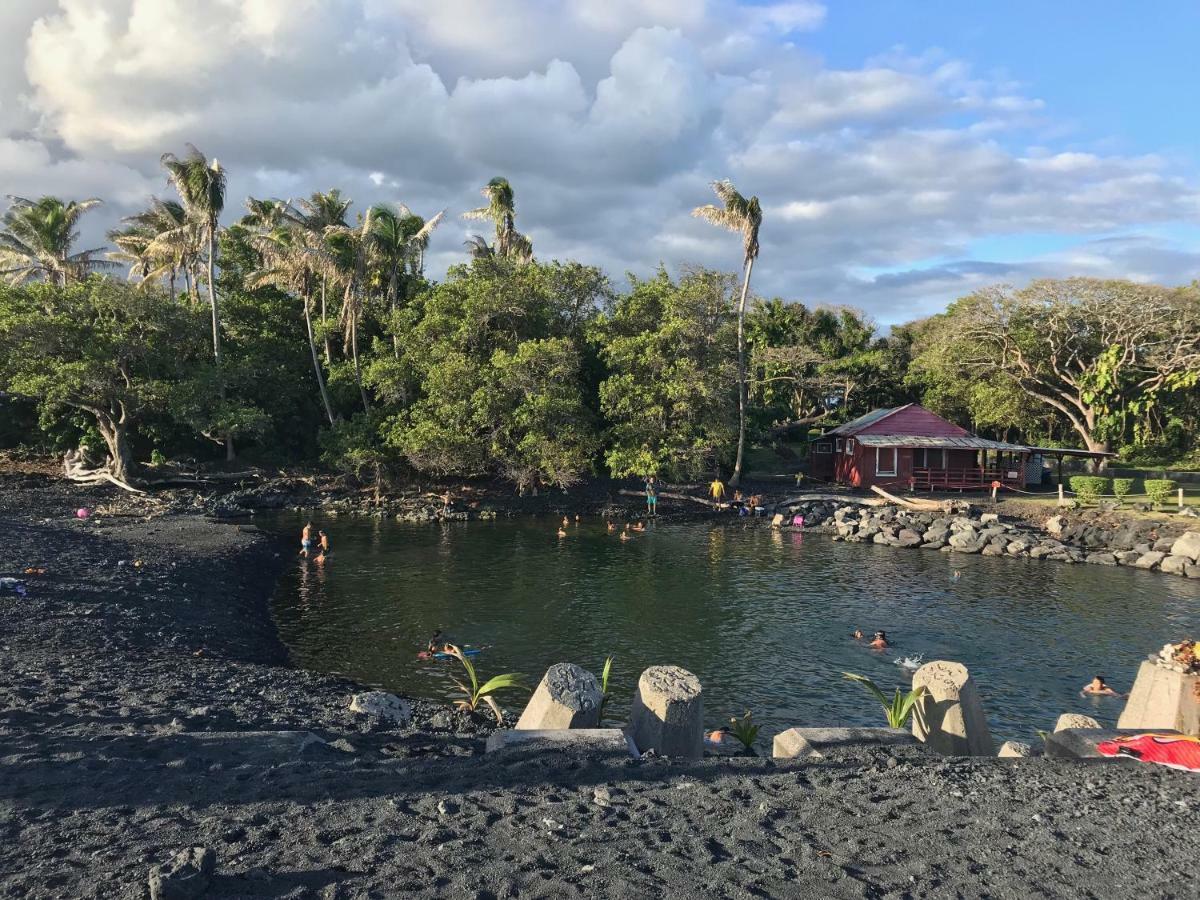 Coconut Palms Vacation Rental Near Lava Fields And Beaches Kehena Zewnętrze zdjęcie